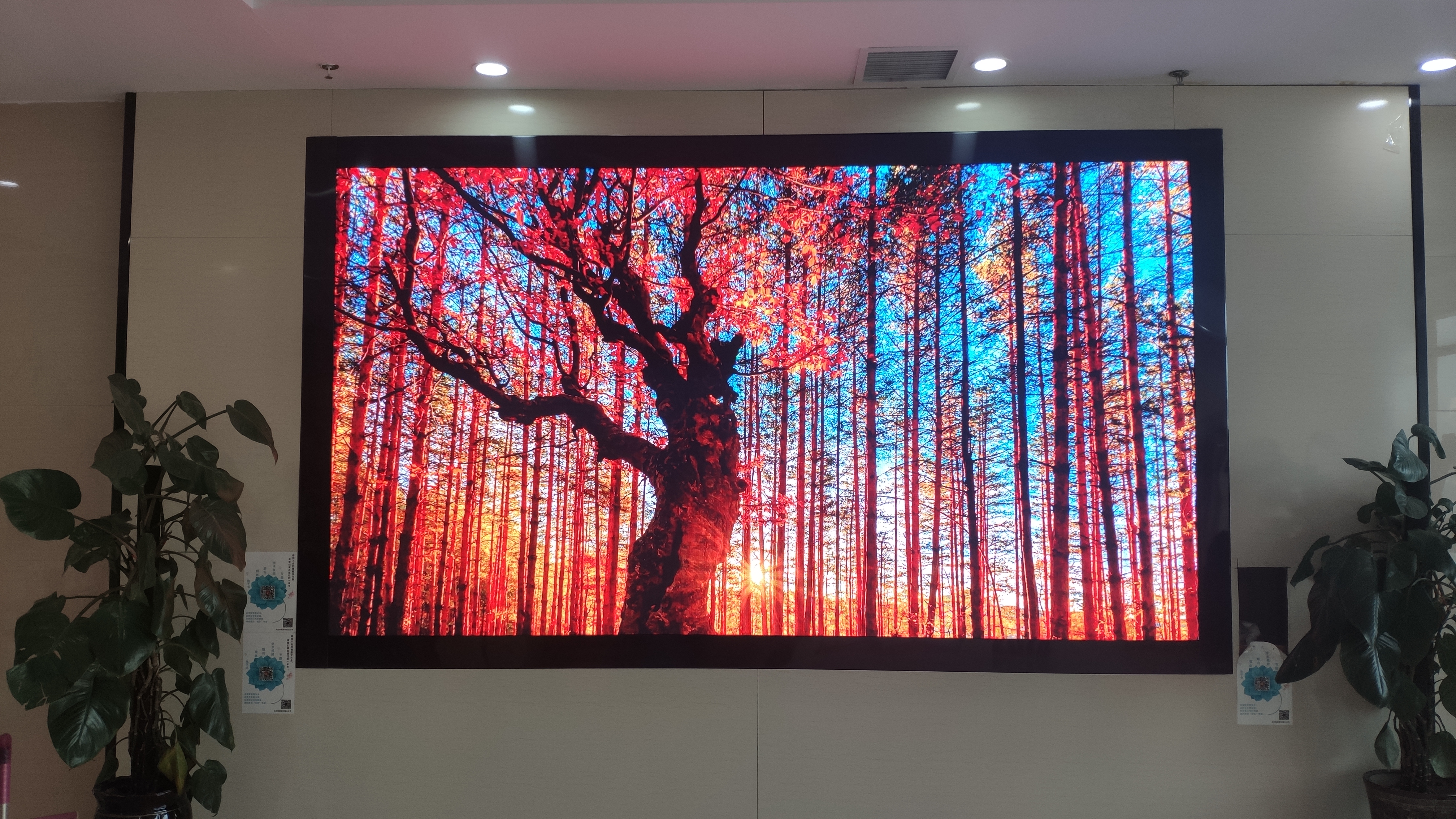 led顯示屏