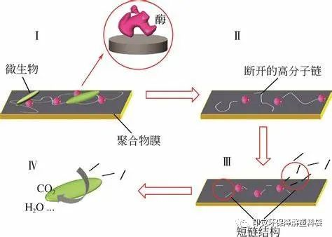 光氧、淀粉基與全生物降解的差異之處 光氧、淀粉基與全生物降解的差異之處(圖2)